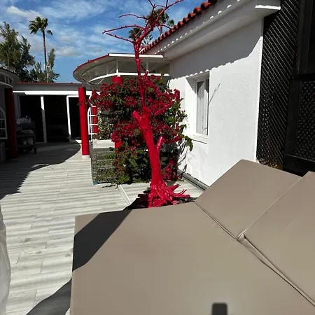Paradise - Fkk Swinger & Nudist Couples Only Love hotel Maspalomas (Gran Canaria)